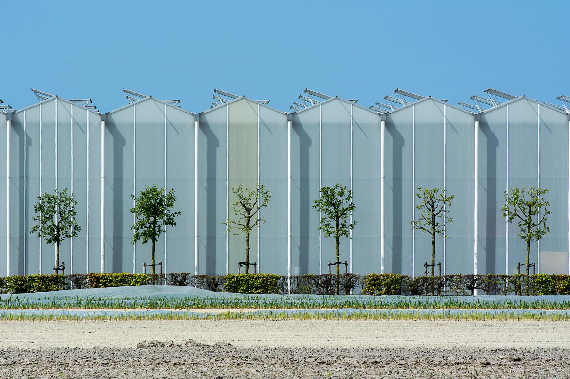 Construção Sustentável com Painel Monolit