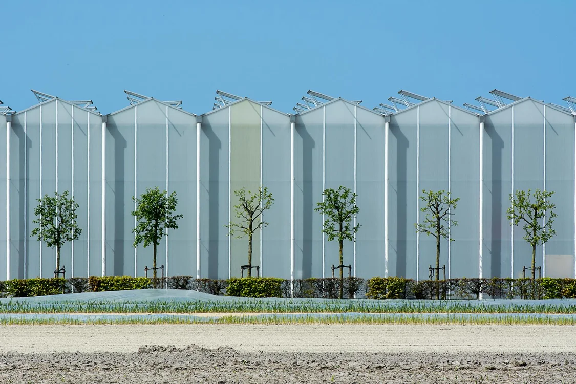 Construção Sustentável com Painel Monolit