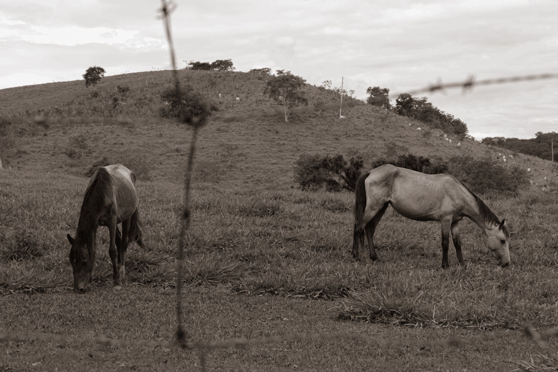Eco Fazenda Trancoso